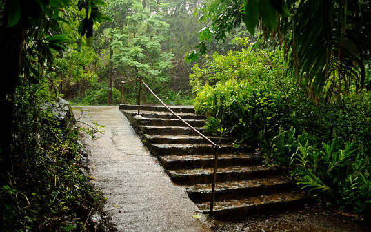 Un escalier sous la pluie